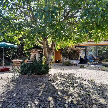 Bed & Breakfast Refugio Artes