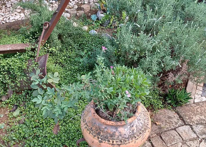 Refugio Artes Oda ve Kahvaltı 3*